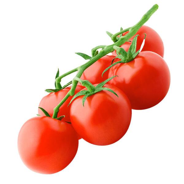 Cherry Tomato
