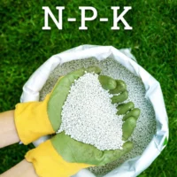 Urea Fertiliser White Granules 5