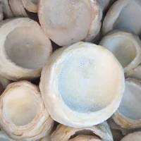 iaqf artichokes 1sqrd