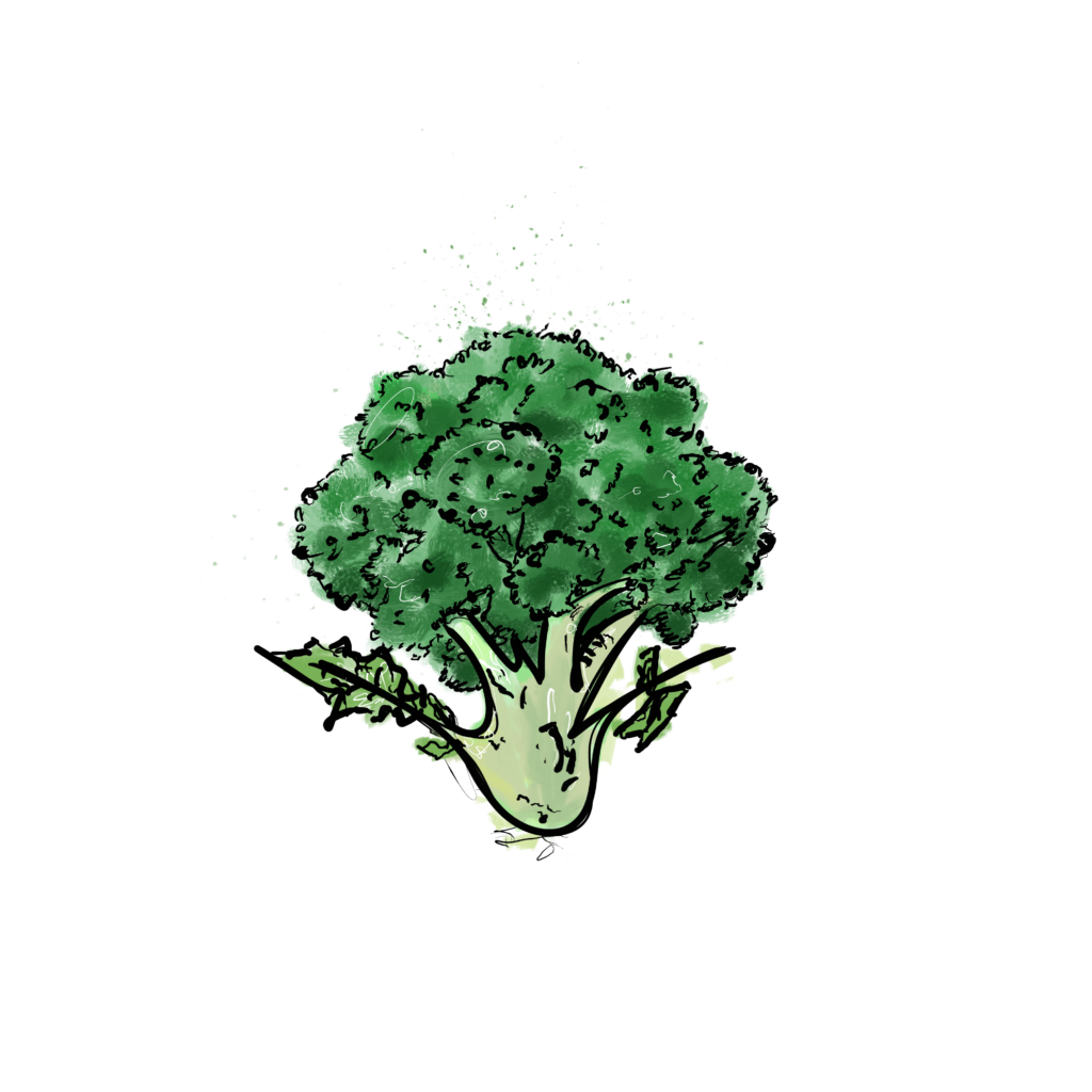 IQF Broccoli