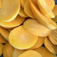 iqf mango slices 5 sqrd