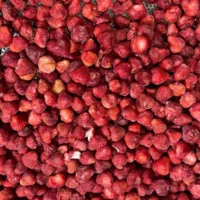 iqf strawberry sqrd