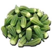 okra-egypt 1