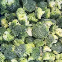iqf brocoli sqrd 1