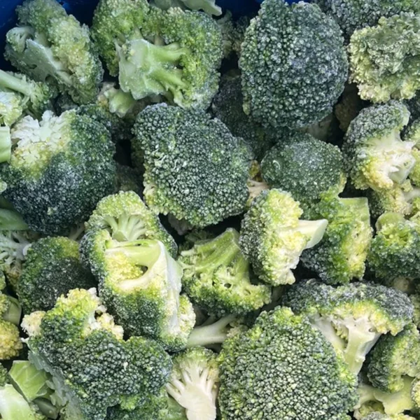 IQF Broccoli