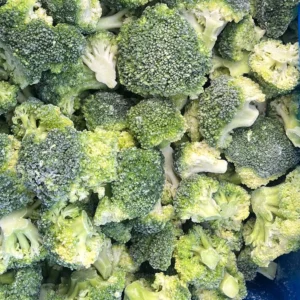 iqf brocoli sqrd 3
